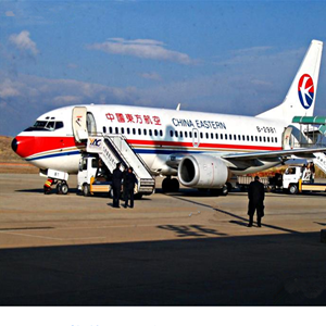 阆中古城航空邮寄-当日到达,轻松快捷
